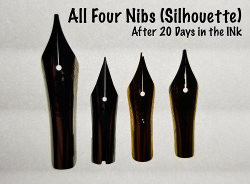 An image of all four steel nibs (Knox, Jowo, Bock, and Pilot), lit from behind for a clear view of any major damage the nibs sustained after being submerged in Organics Studio Aristotle Iron Gall ink for 20 days.