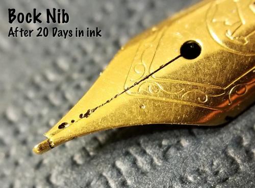 Top view of the Bock nib after 20 days in the Aristotle Iron Gall ink. This view shows the final state of the pits corroded along the slit.