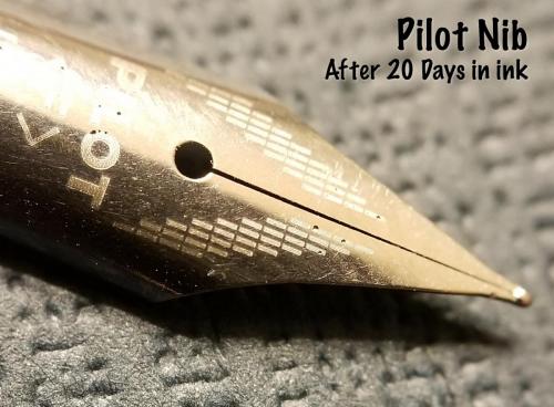 Another top view of the Pilot nib after 20 days in the Aristotle Iron Gall ink. This image shows all the pitting around the Pilot logo, which is engraved/etched into the steel.